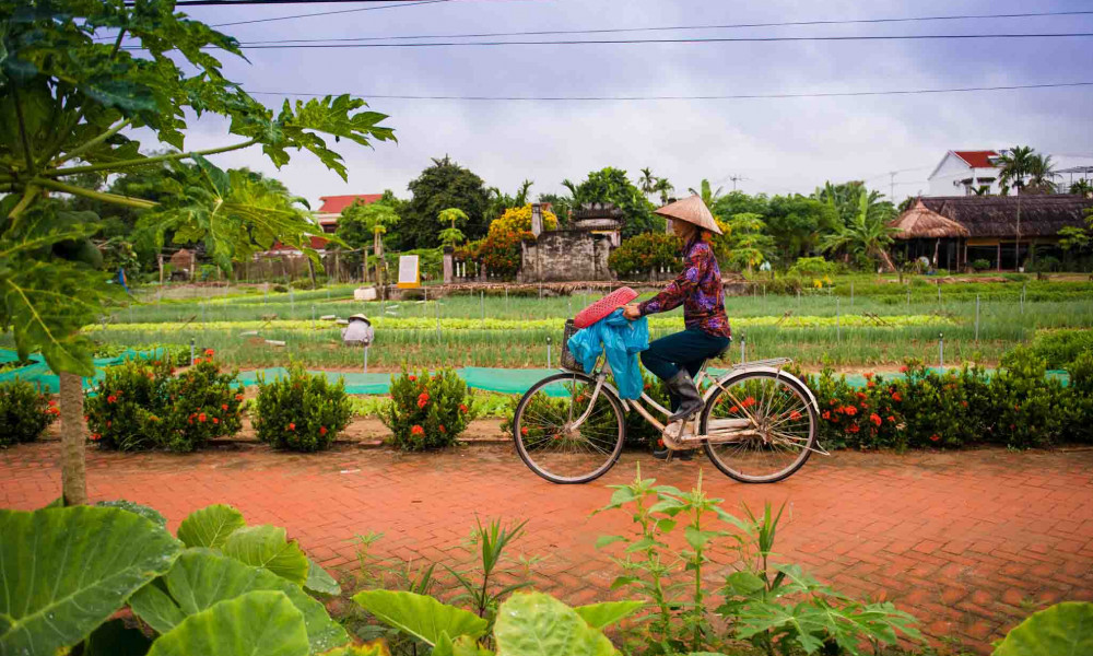 Cycling to Tra Que Vegetable and Join Cooking Class